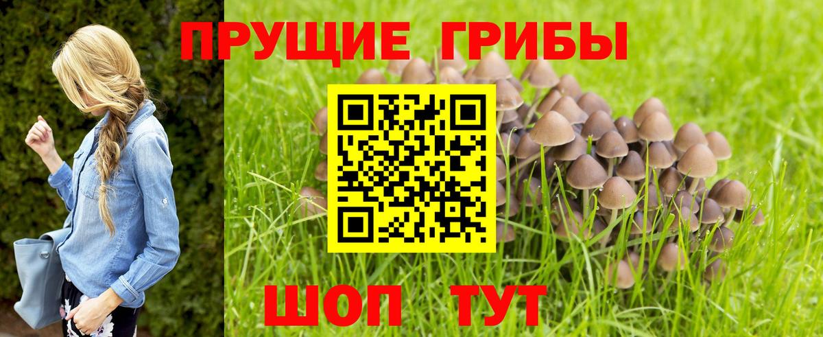 Домодедово  Галлюциногенные грибы GOLDEN TEACHER  Вход с VPN 